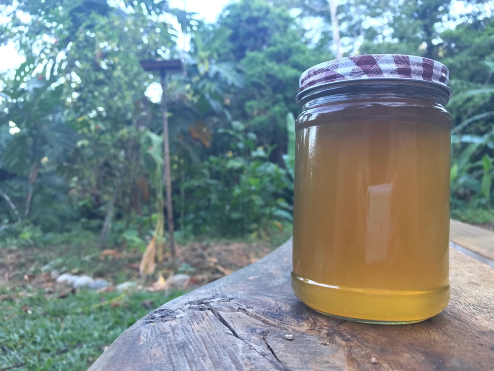 Jungle honey 