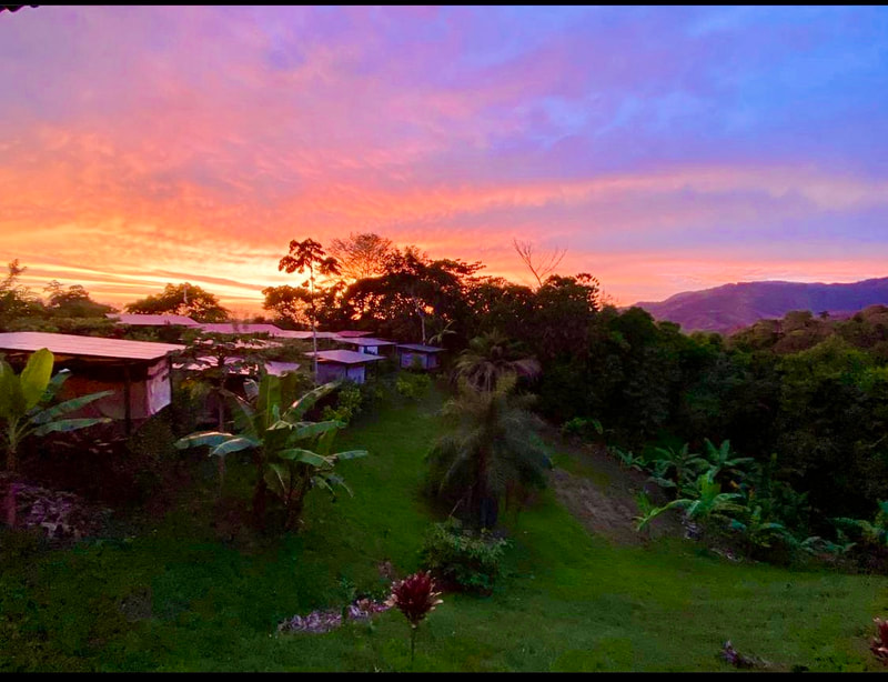costa rica retreat- rainforest view