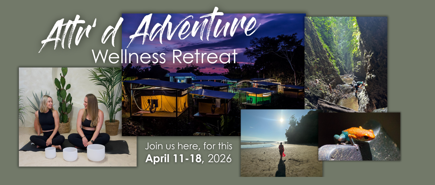 julie harrish retreat