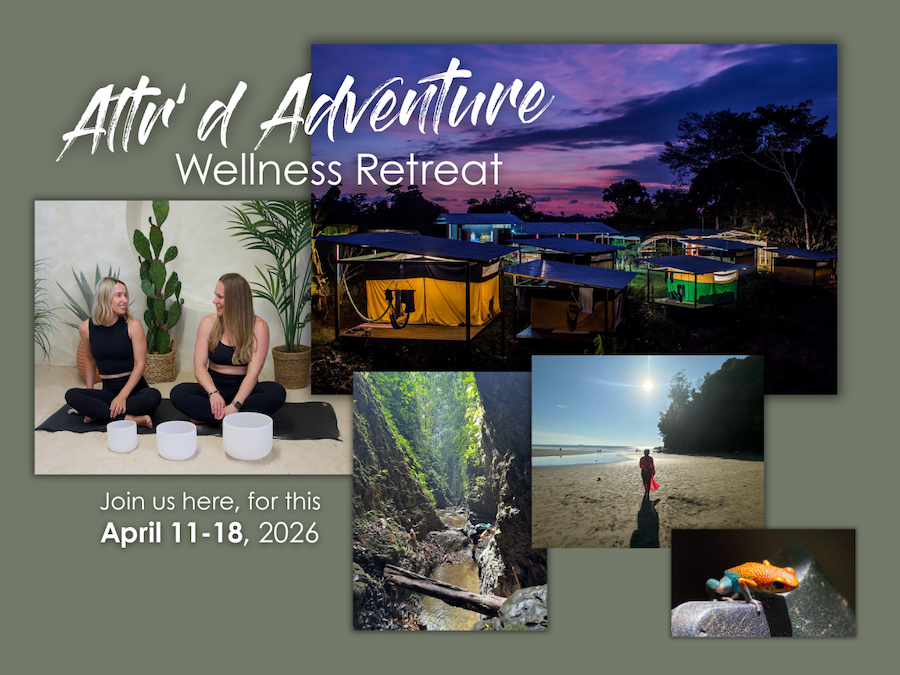 4×3 web homepage slider template.psd